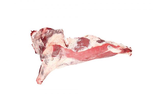 Grade A Frozen Beef Forequarter