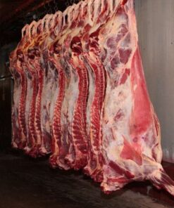 Grade A Frozen Whole Beef Carcass